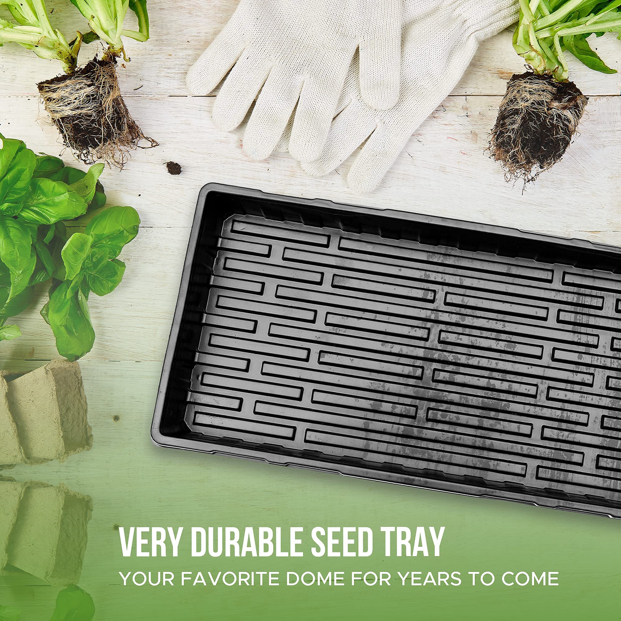 Buy Seed Starter Trays and Humidity Domes 3 Pack 1020 Trays Cloning