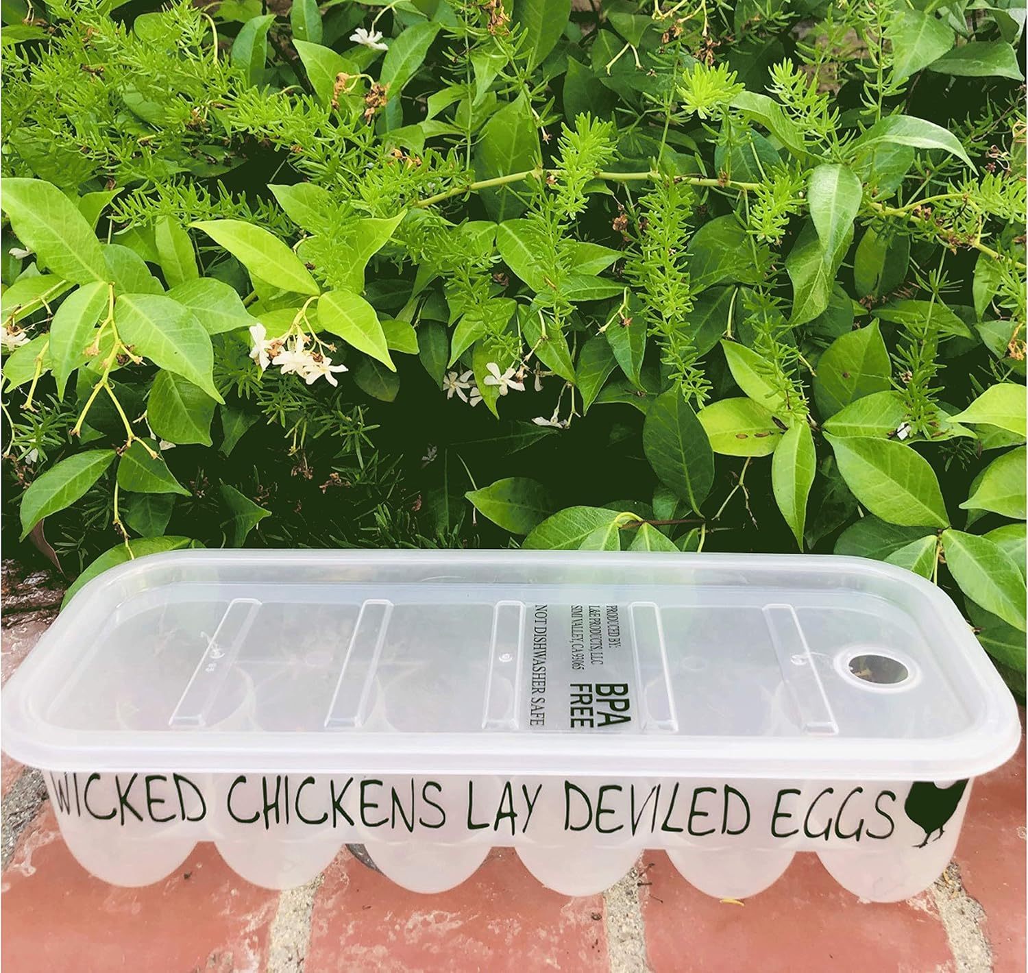 Plastic Egg Storage Containers with Lids and Custom