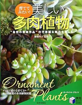 植木力の作品本物です。 91zLGfvxNTL._UF350,350_QL50_.jpg