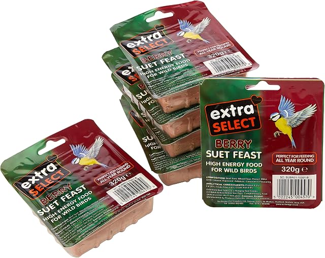 Extra Select Wild Bird High Energy Suet Block Wild Berry, 320 g (Pack of 6)