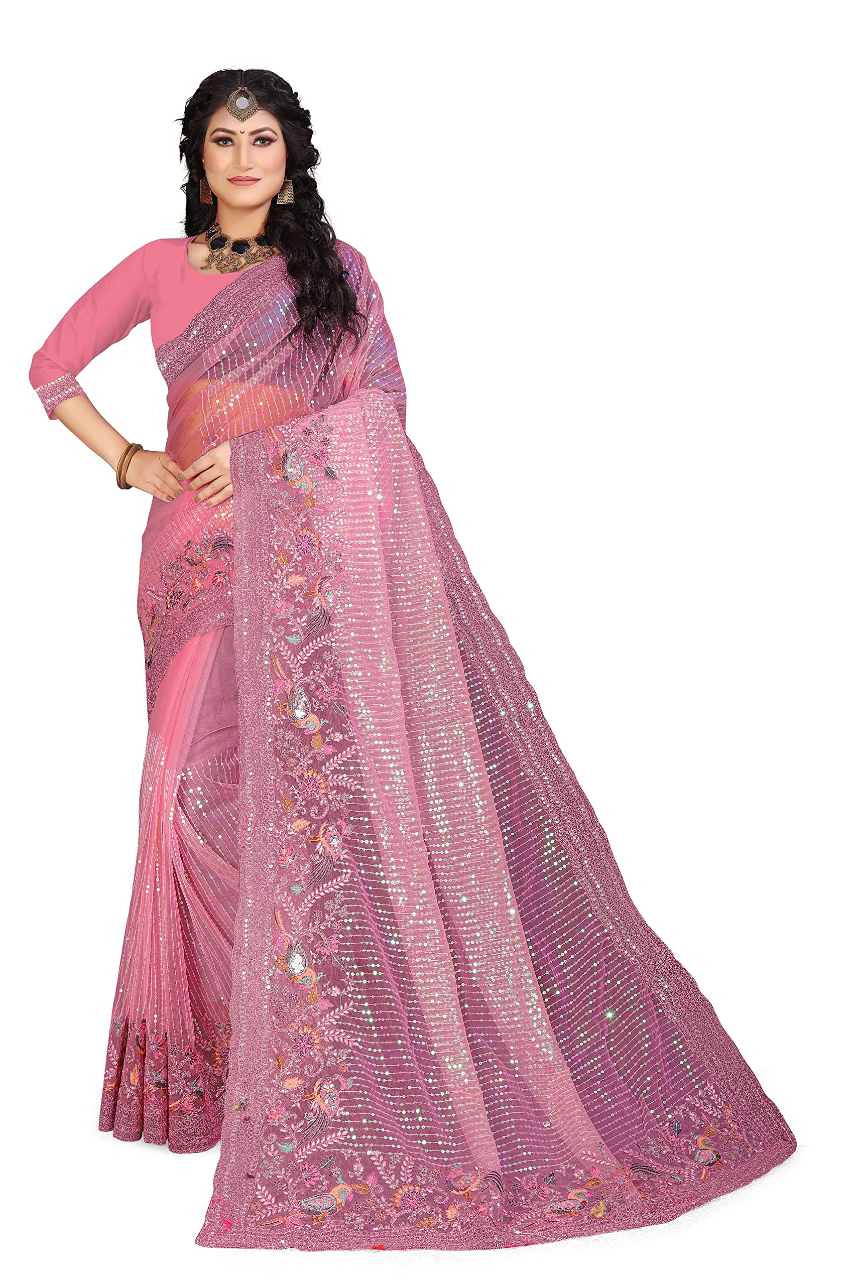 Chitrakshi Net Organza Embroidered Saree With Blouse