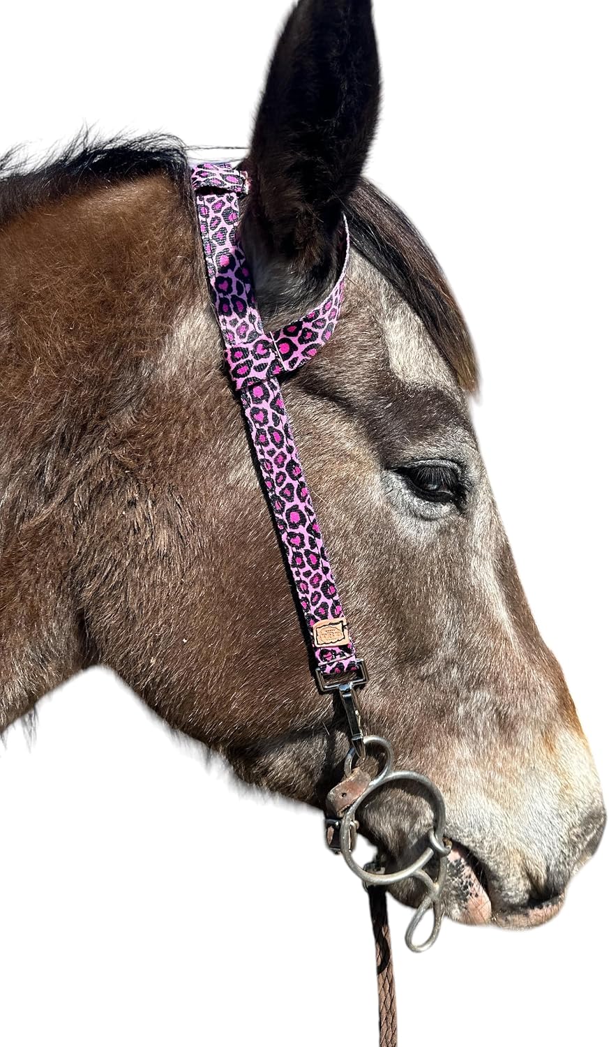 one ear headstall with quick change clips horse size pink cheetah