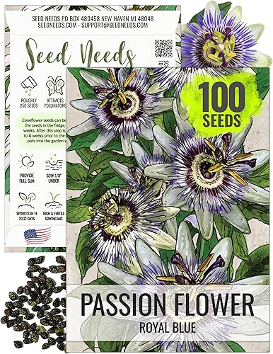 Miniatura 8 de Seed Needs, Royal Blue Semillas de flor de la pasión  100 semillas tradicionales para plantar passiflora caerulea  vid tropical polinizada abierta