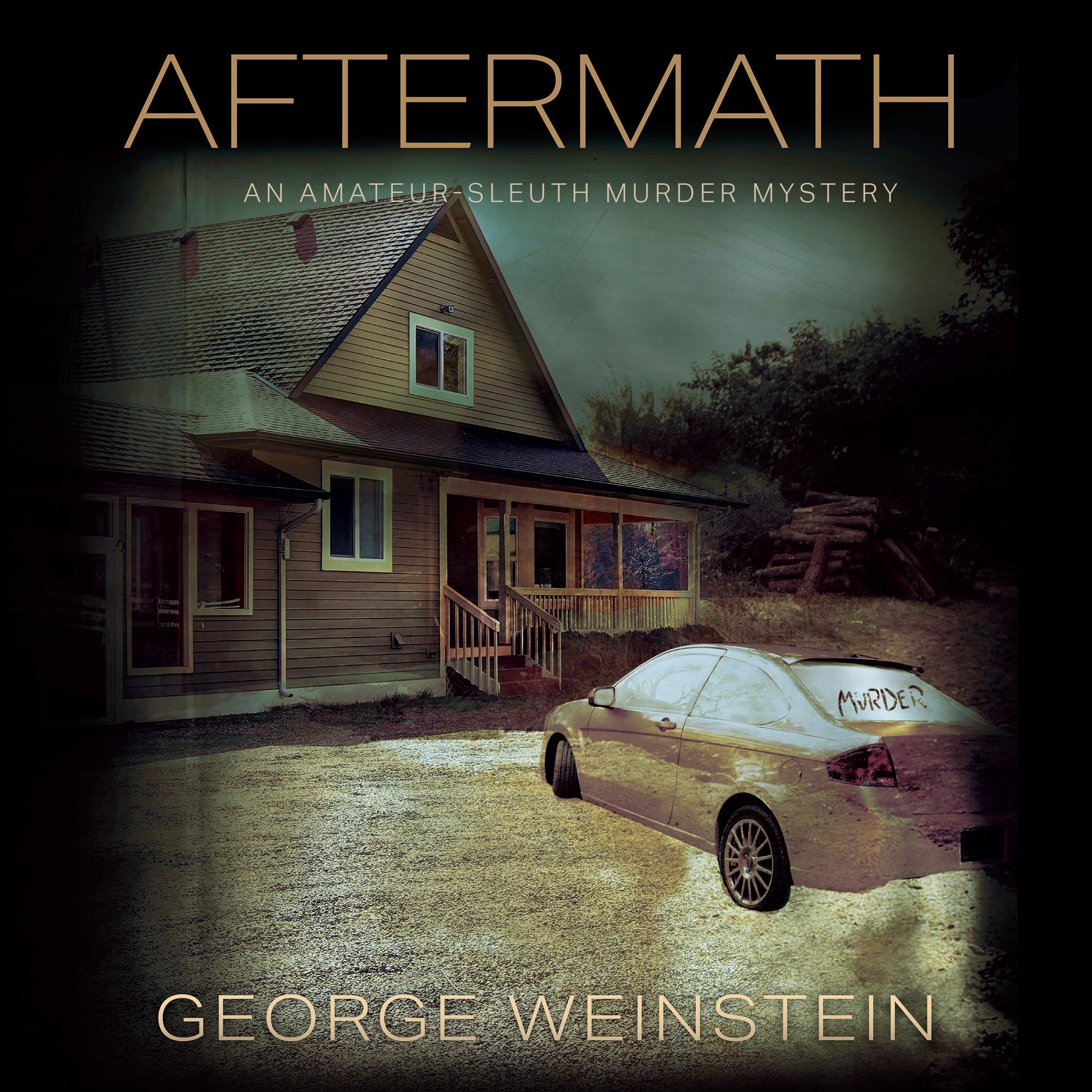 Cover art for Aftermath: A Novel