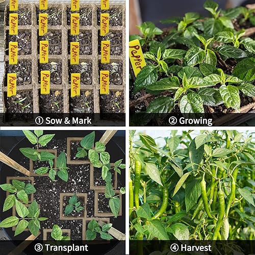 Miniatura 7 de 640 bandejas de inicio de plántulas, paquete de 40 macetas de turba biodegradables, kit de inicio de plántulas, bandejas de germinación orgánica,