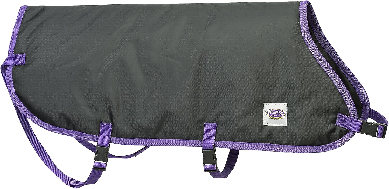 Weaver Leather Livestock Pro Calf Blanket