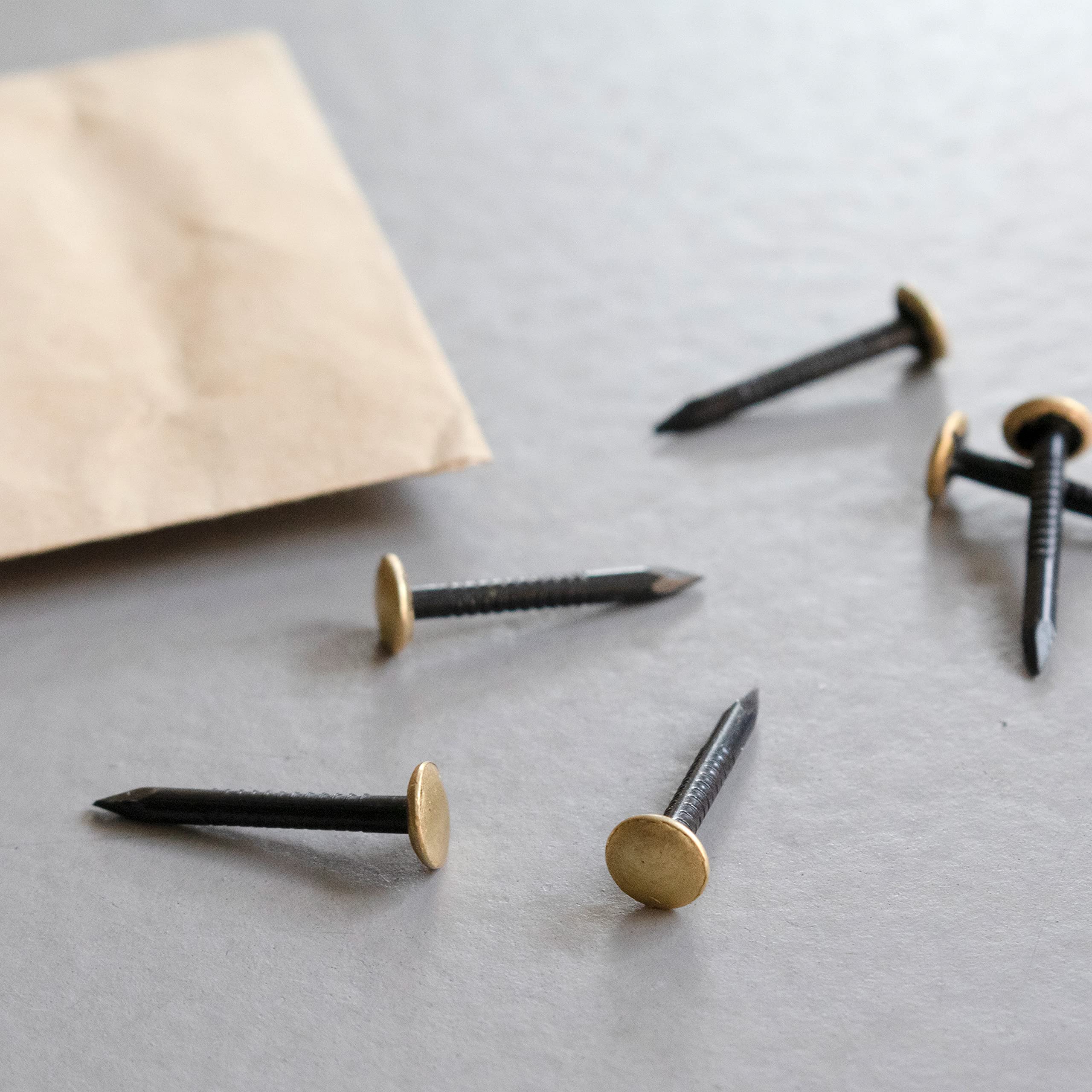 TOX Gwoździe do obrazów Home Classic z hartowanej stali z mosiężną główką w opakowaniu papierowym nadającym się do recyklingu, rozmiar 2,0 x 20 mm, stalowe gwoździe do obrazów do prawie wszystkich