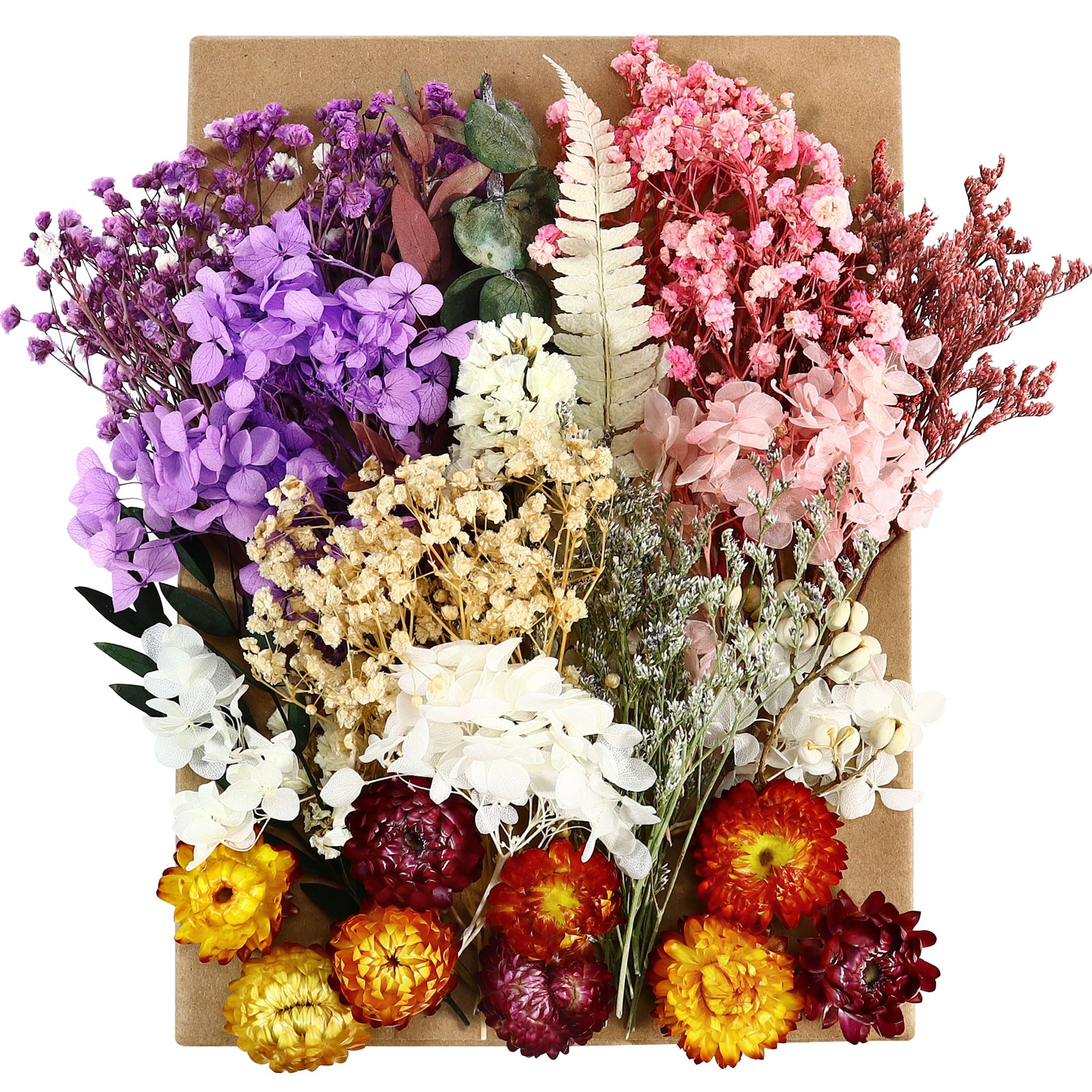 3 Boxes Natural Dried Flowers Set, Mixed Pressed Dried Flowers and Leaves
