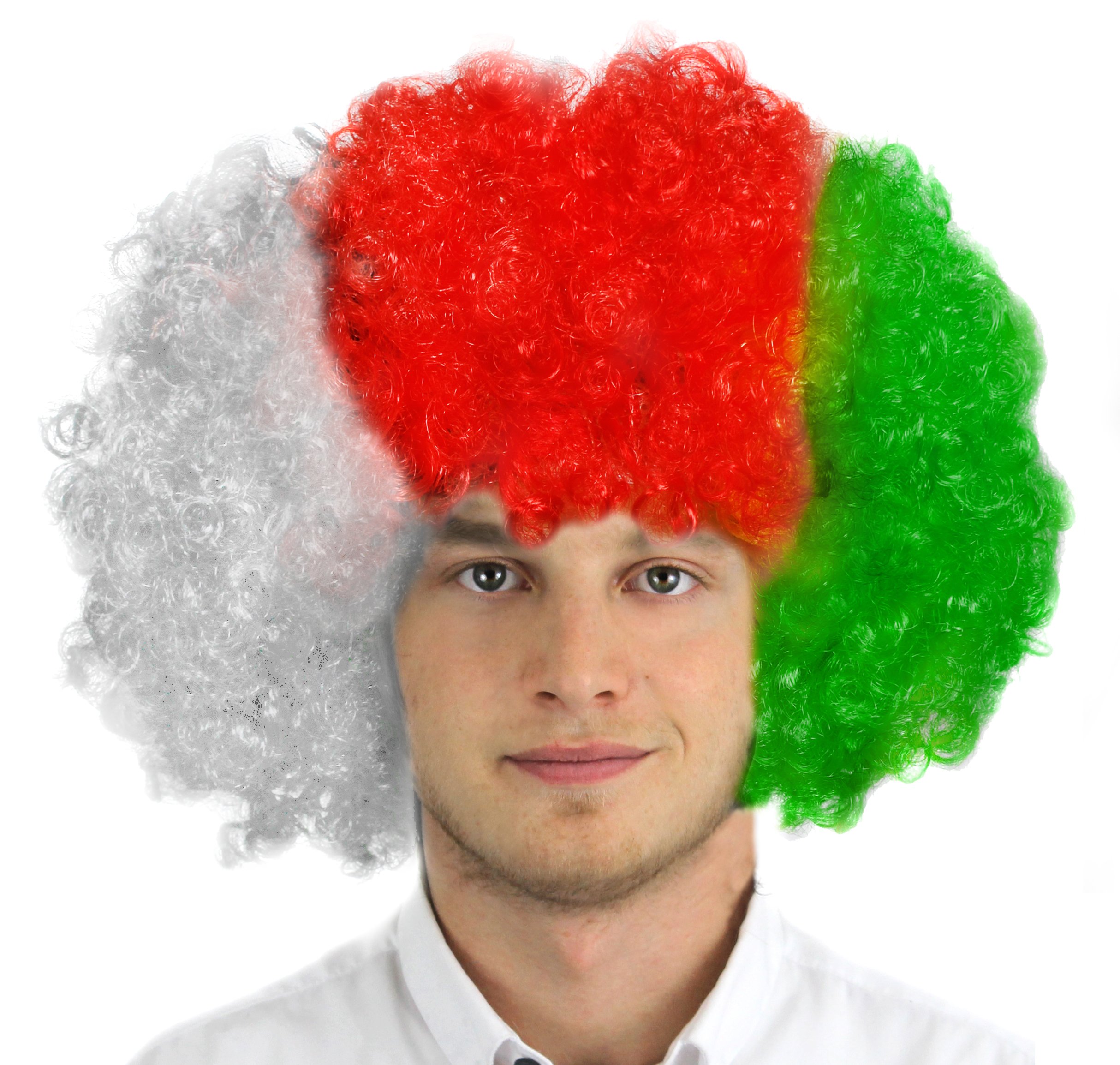I Love Fancy Dress ILFD2259 Unisex Afro Welsh Flag Supporters Wig, One size