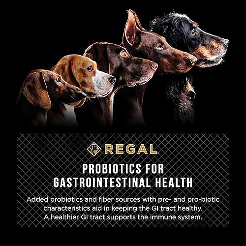 Miniatura 7 de Regal Pet Foods Receta de granja para adultos (pollo y pato), alimento seco de grano entero totalmente natural, cocido a fuego lento, para todas las