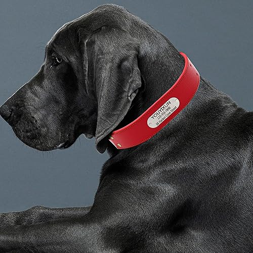 Miniatura 5 de YOUYIXUN Collar de perro de cuero personalizado con placa de nombre, collar de perro personalizado grabado para perros medianos y grandes (XL, rojo)