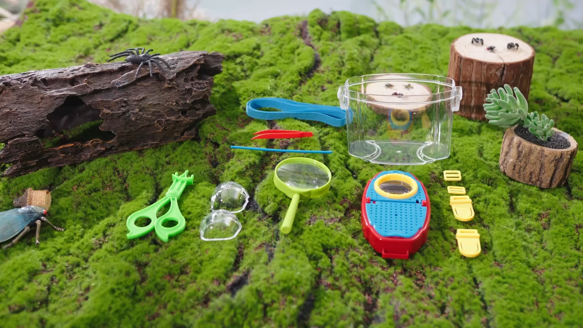 Amazon.com: Pullcrease 36 Pcs Bug Catcher for Kids, Outdoor Insect