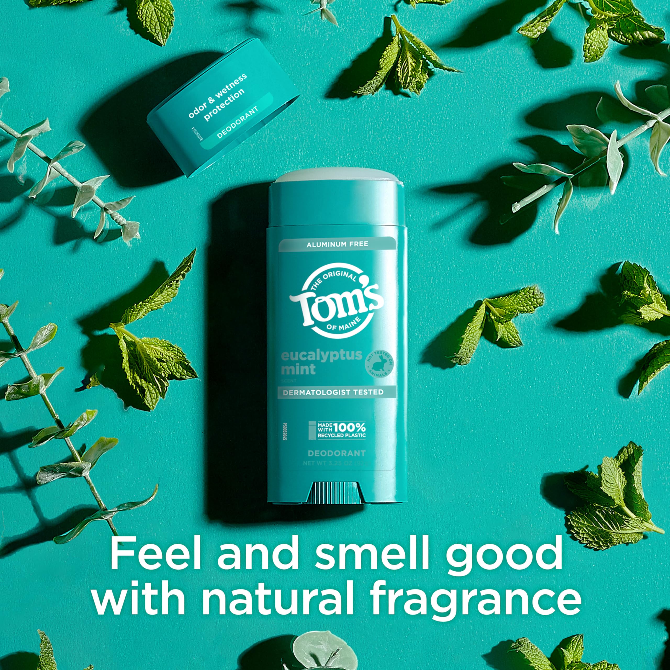 Amazon.com : Tom's of Maine Eucalyptus Mint Aluminum Free Natural