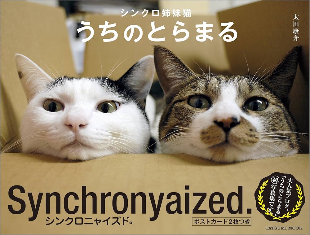 とらねこページ 91zPLOEcQLL._UF1000,1000_QL80_.jpg