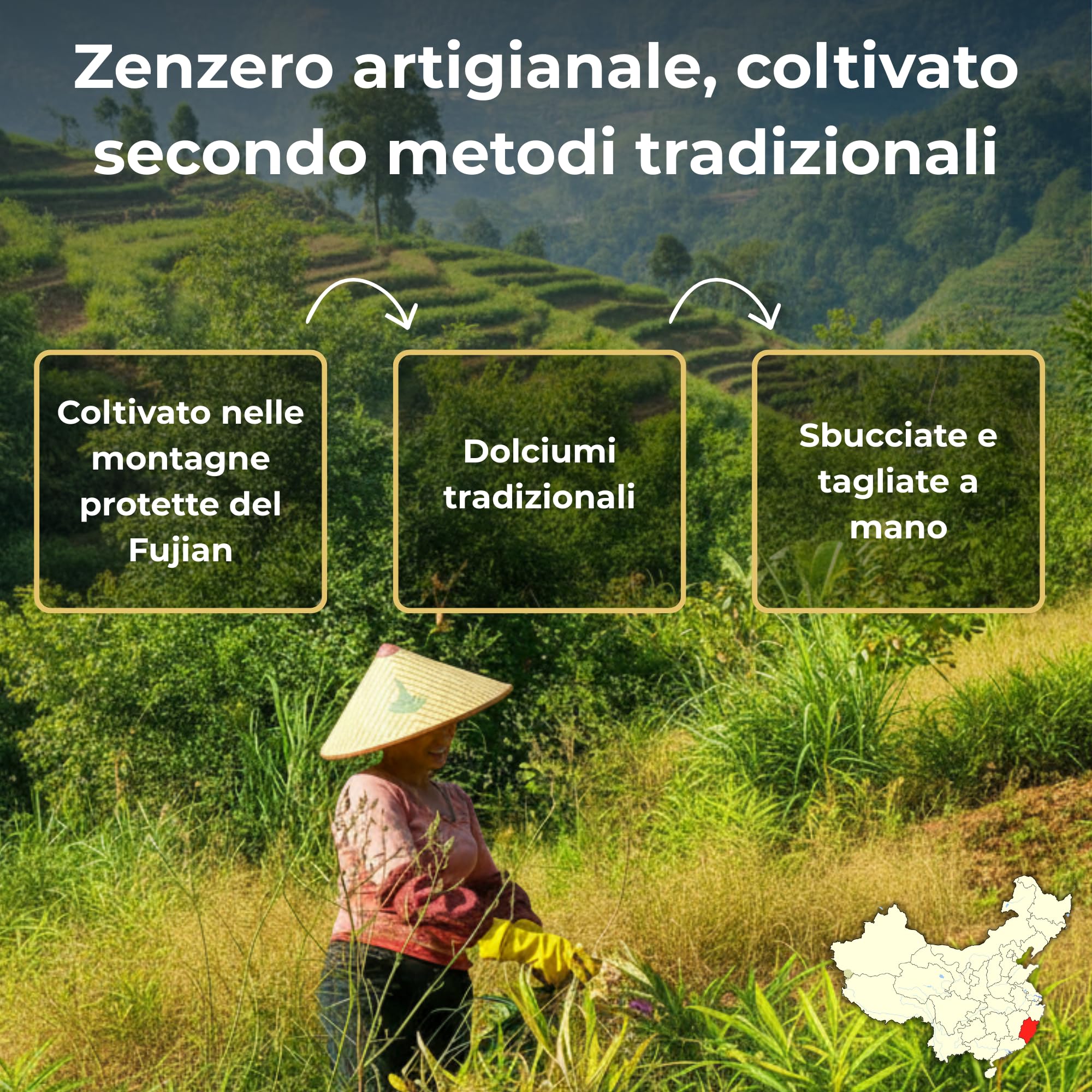 MA bio-épicerie - Zenzero Candito Bio in Bastoncini 870 g - Zenzero Disidratato Sfuso Senza Conservanti - Confetteria Naturale per Degustazione