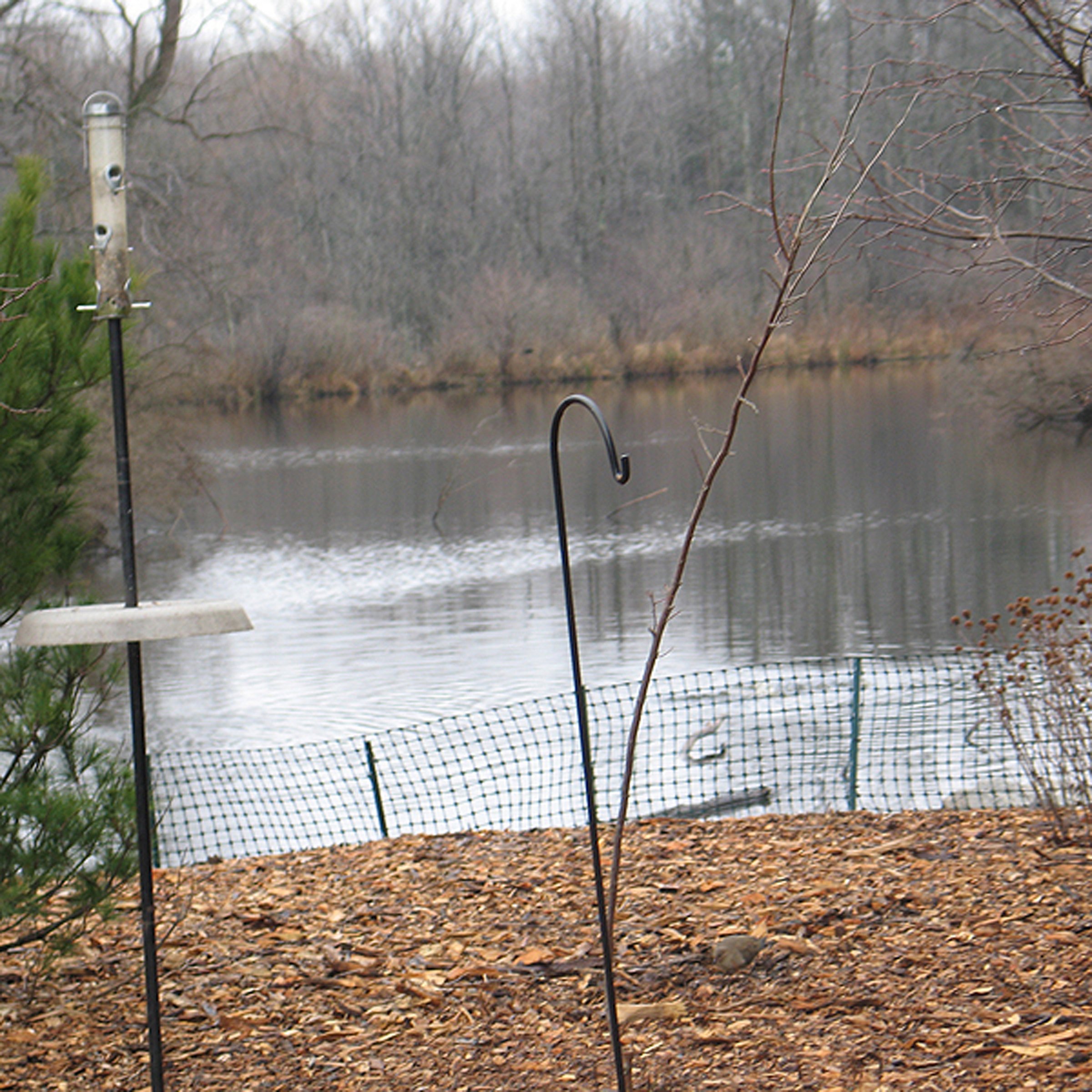 Cornell Ornithology Lab, Ithaca, New York, Part II