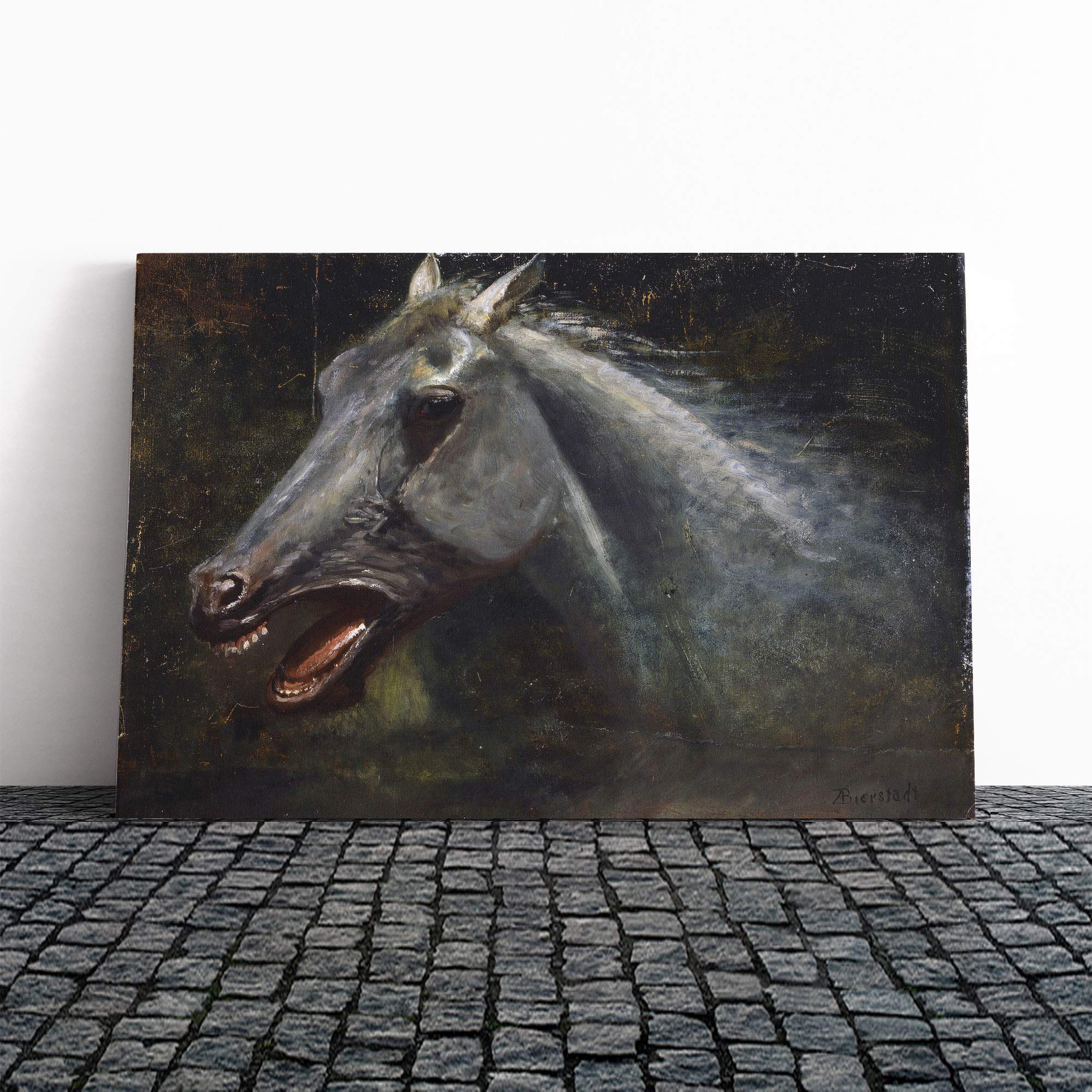 Albert Bierstadt A Wild Stallion Canvas Print | Gallery Wrapped 30mm Frame Wall Art | 24x16 inches | Ready to Hang | Modern Animal Picture | Living Room Bedroom Lounge Office