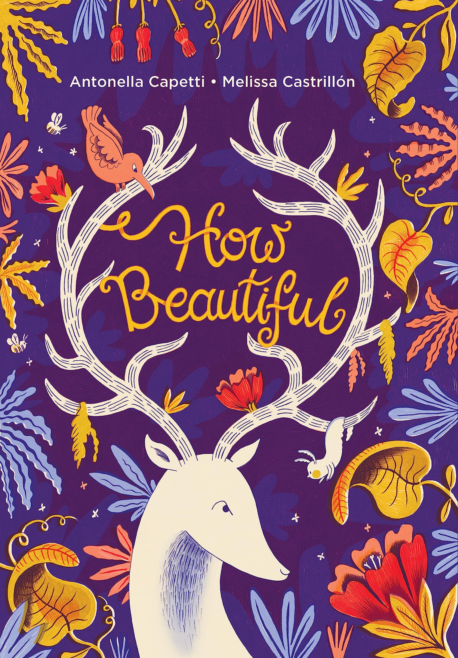 How Beautiful by Antonella Capetti, Melissa Castrillon - 9781771648530