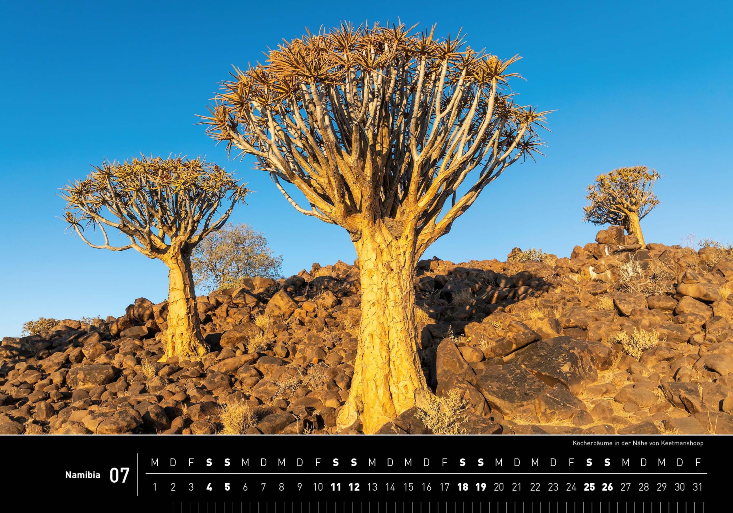 Namibia Premiumkalender 2026 (360° Premiumkalender 2026: Format 50 x 35 cm)