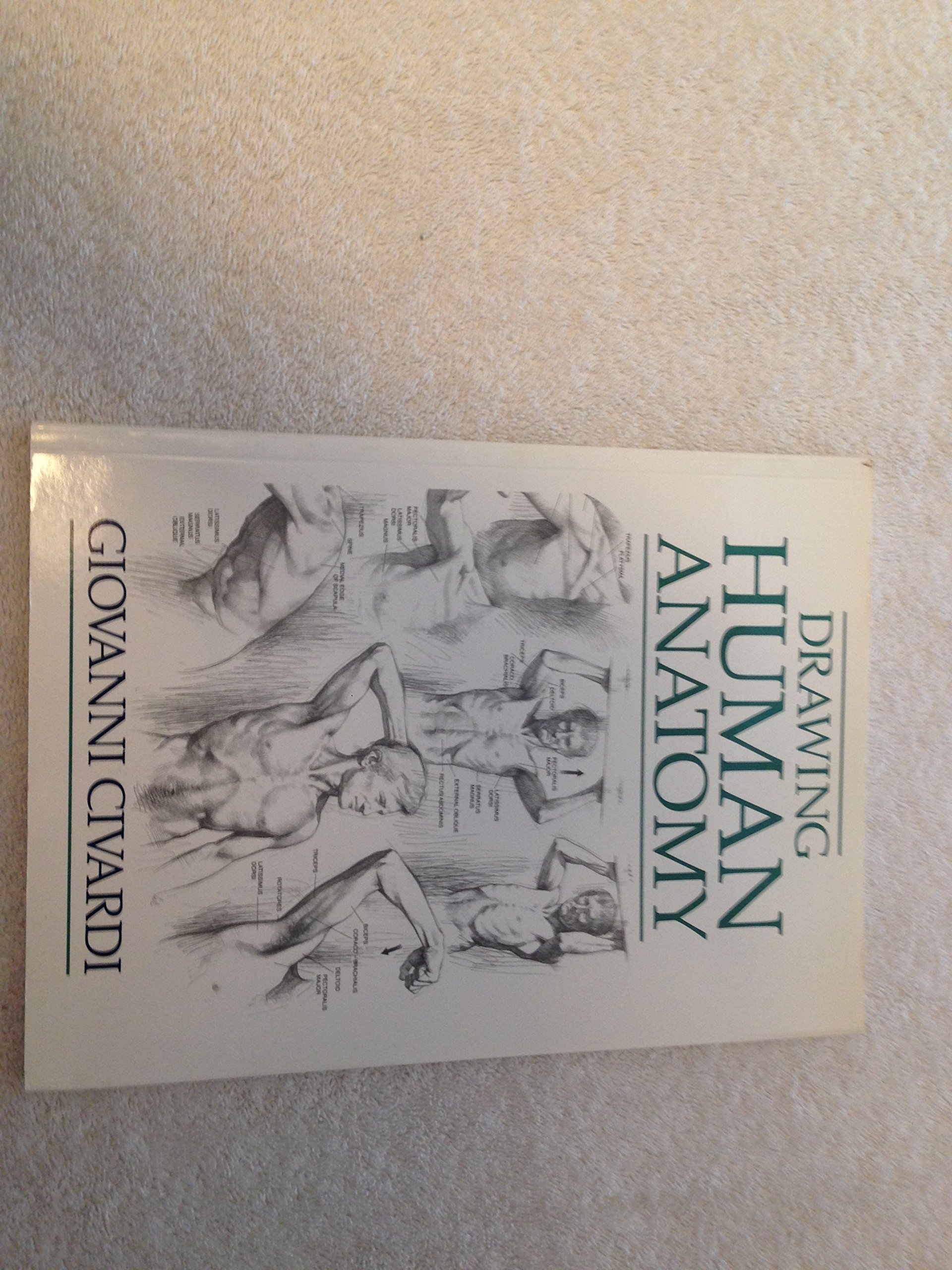 Drawing Human Anatomy Civardi, Giovanni 9780289800898 Books