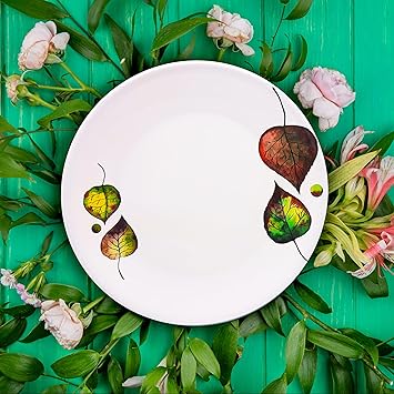 Platinum Melamine Round Full Size Dinner & Lunch Plates Pack of 6 (11 Inch) (6Pcs Full Plates)