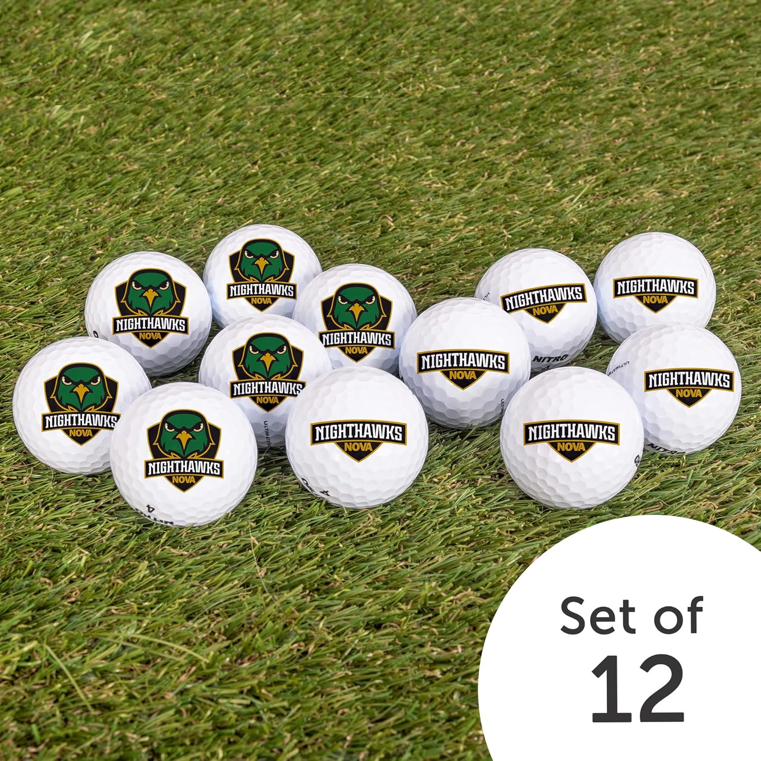 Desert Cactus Northern Virginia Community College Golf Balls 12 Pack – NOVA Nighthawks Full Color Dozen – Officially Licensed Sport Team Accessory