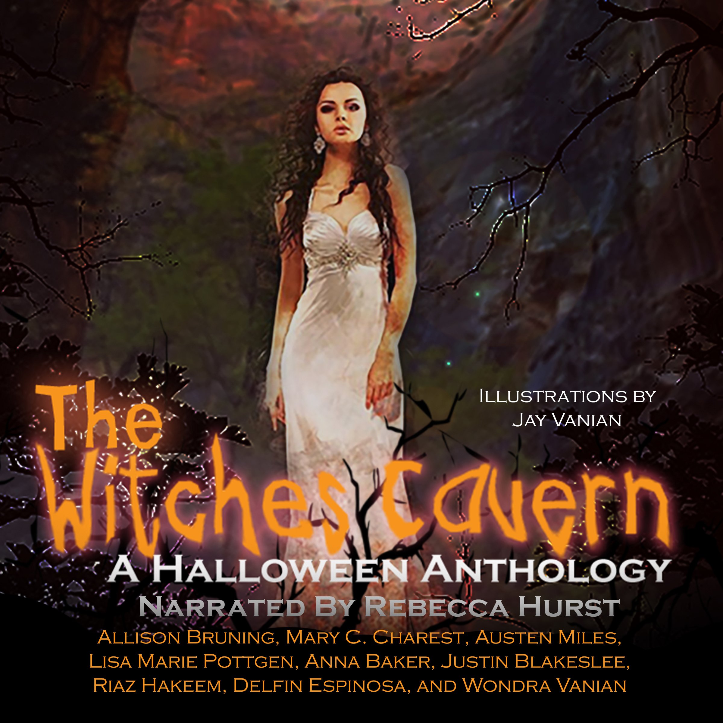 Cover art for The Witches Cavern