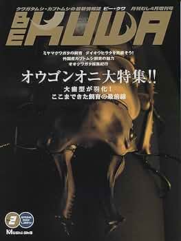 ビークワ2 91zR26aL5zL._AC_UF350,