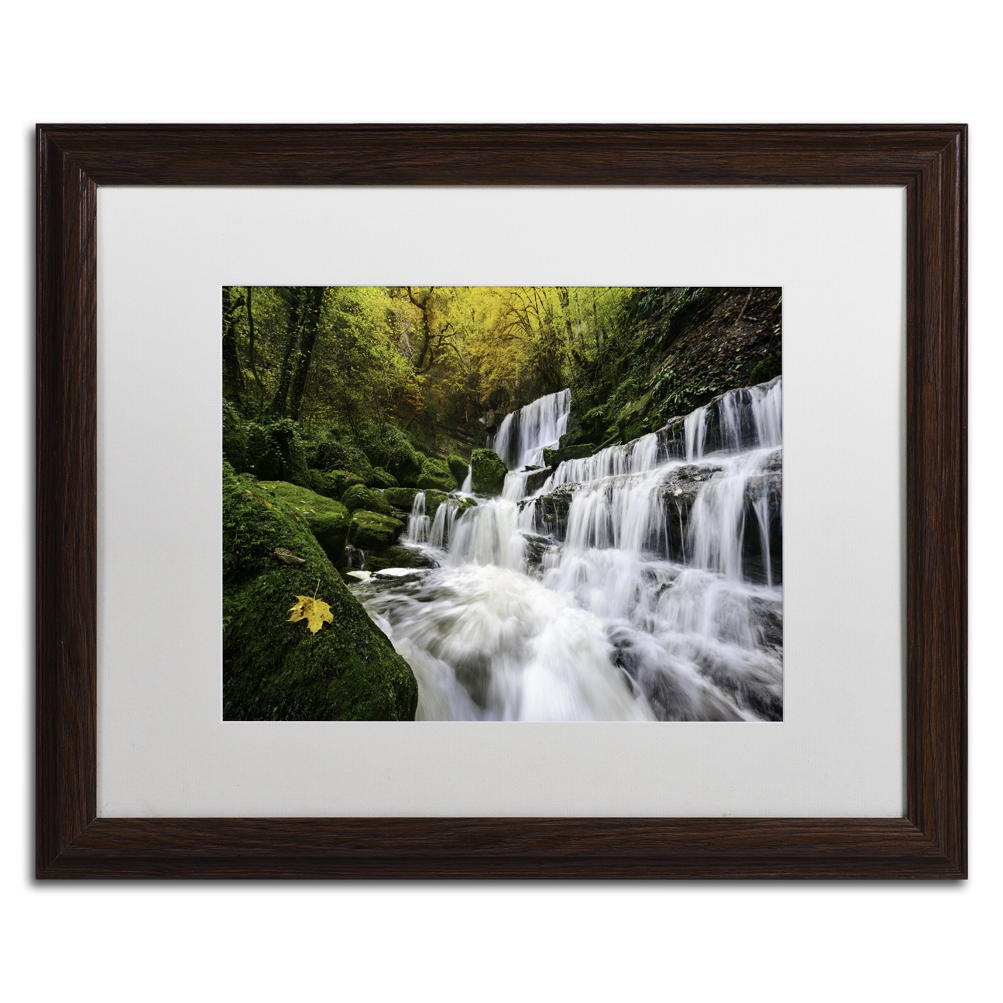 The Song of the Autumn by Mathieu Rivrin Wood Frame, 16 by 20", White Matte