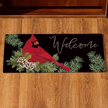 Evergreen SASSAFRASS Cardinal Welcome Switch Mat Interchangeable Entrance Doormat | Indoor and Outdoor | 22-inches x 10-inches | Non-Slip Backing | All-Season | Low Profile