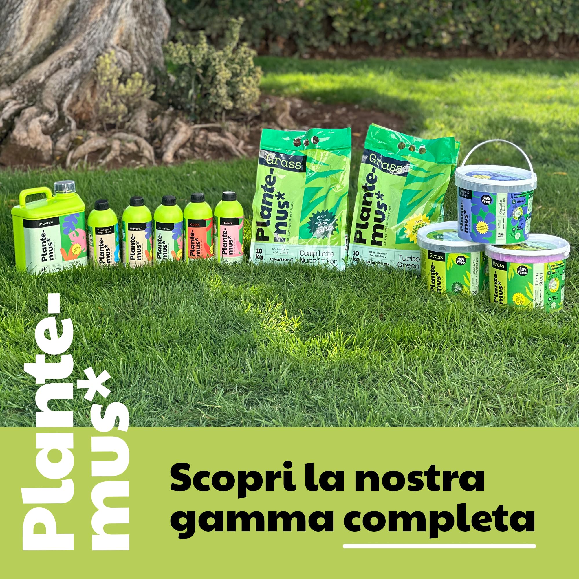 PLANTEMUS Concime per Prato Premium a Effetto Prolungato per 175 m² | Concime NPK (12-11-18) granulare in Perle Ultrasolubili | Nutrizione Completa per un Prato Forte, Verde e Denso 5.5 kg