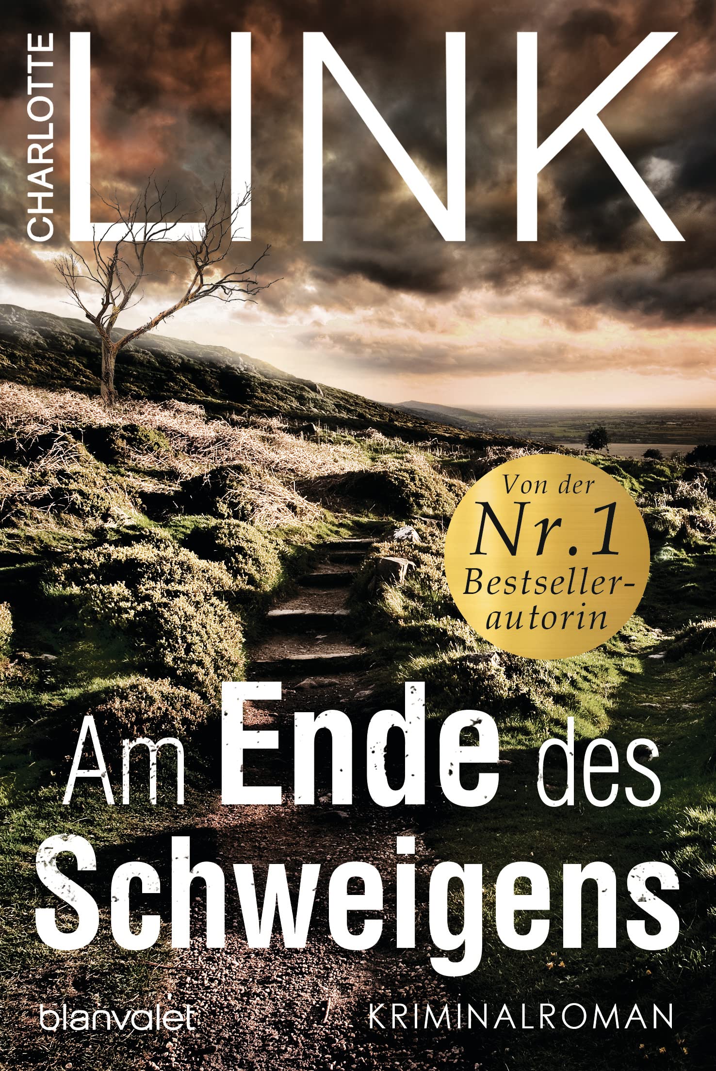 Am Ende des Schweigens: Kriminalroman (German Edition)