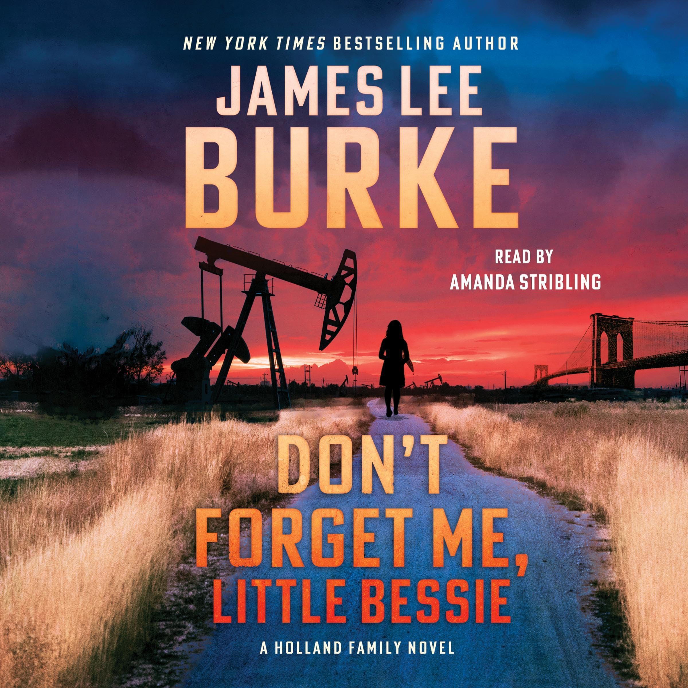 Don't Forget Me, Little Bessie: A Novel