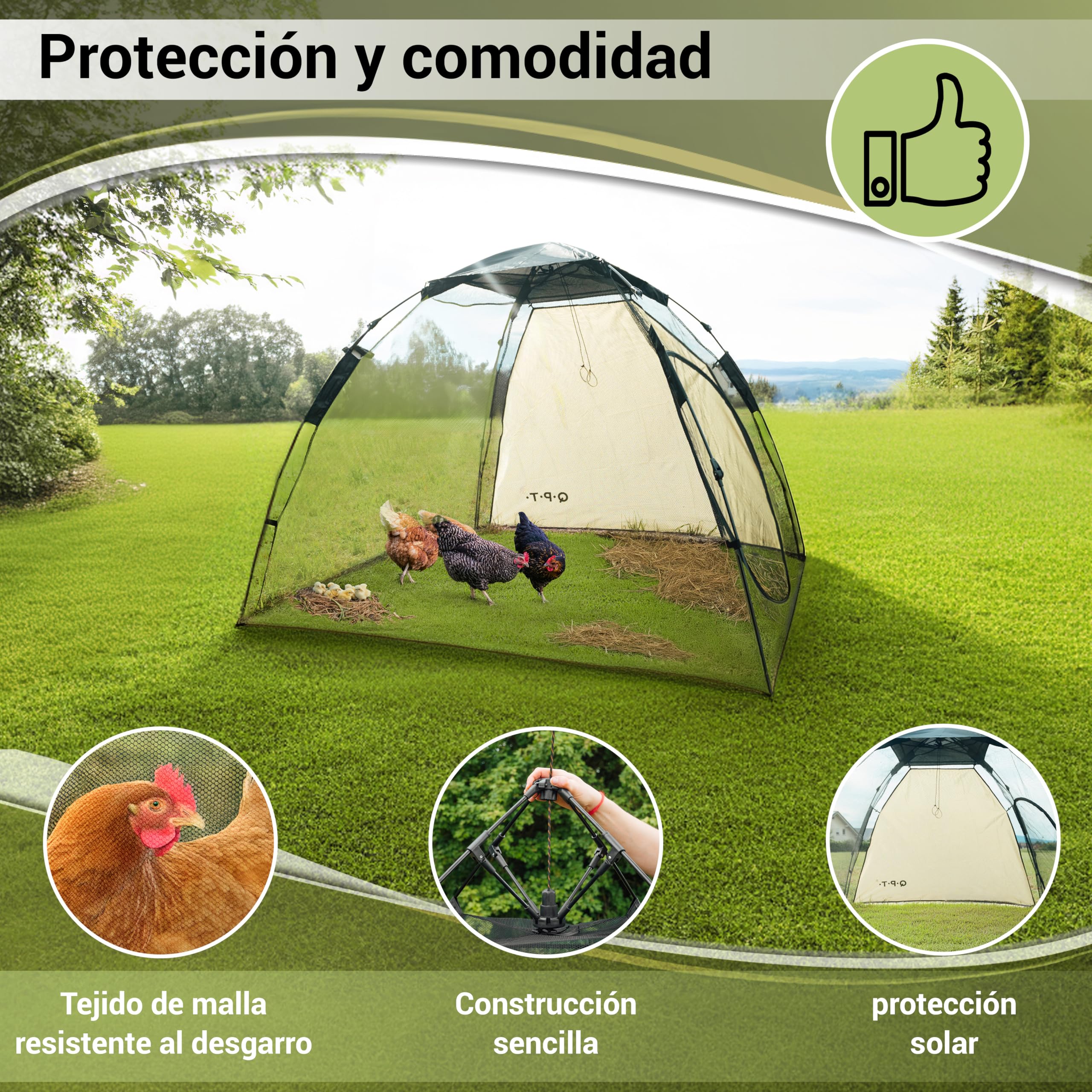Q.P.T. Recinto para Animales pequeños - 200x180x145 cm, Puede Utilizarse como recinto o gallinero para gallinas, Patos, Pollitos o codornices