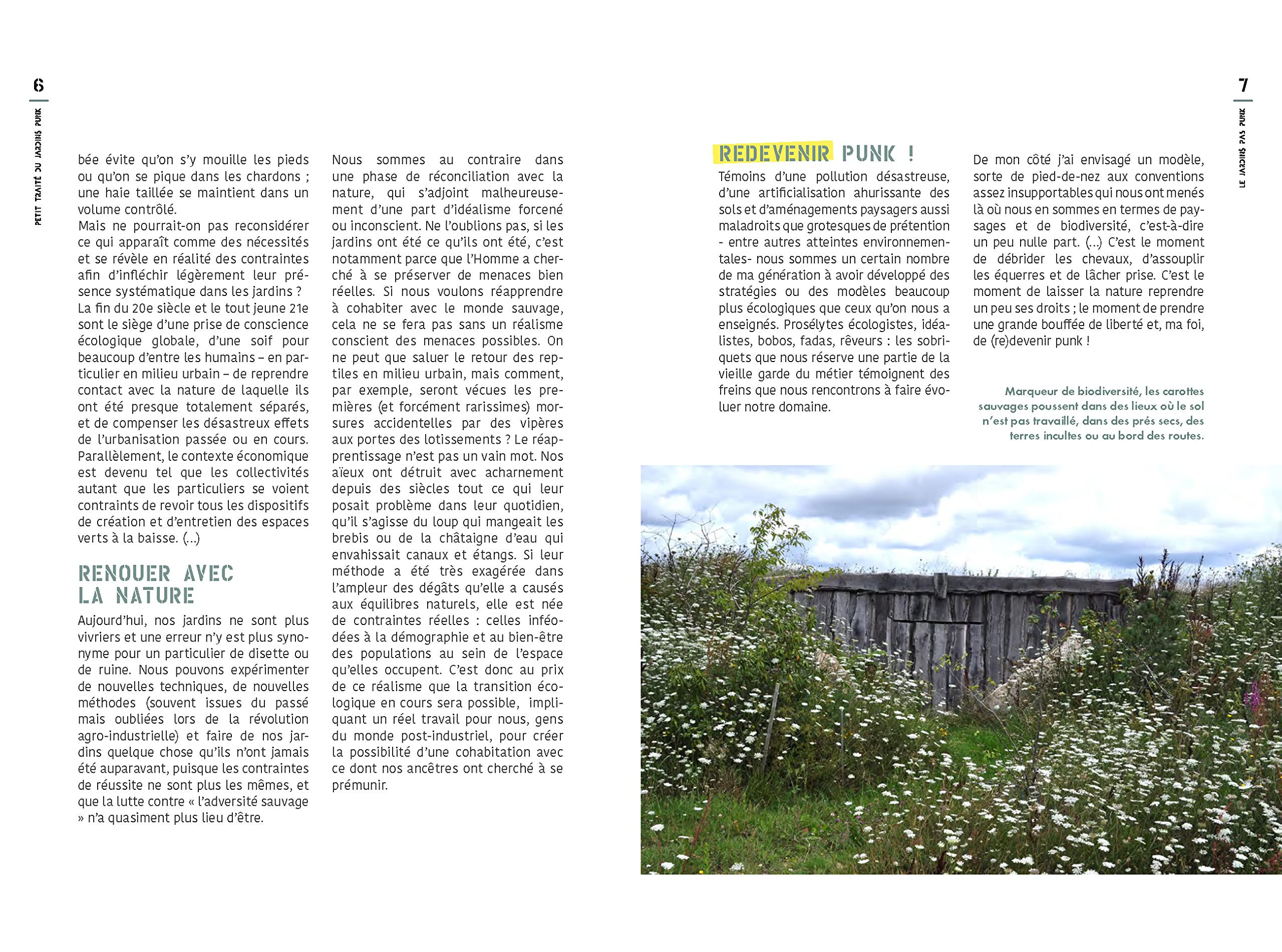 Le grand traité du jardin punk