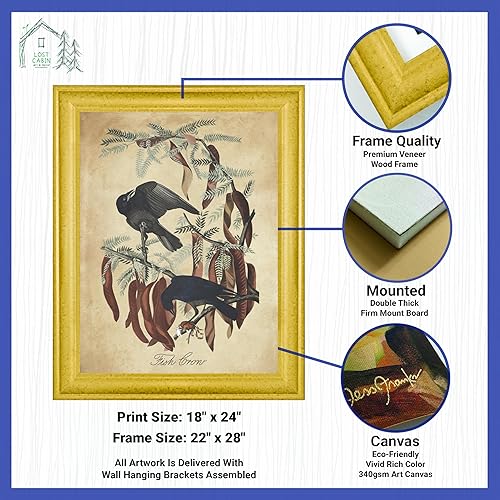 Vista 71 de Towee Bunting by James Audubon - Marco biselado negro de 12 x 16 pulgadas, decoración artística enmarcada para pared, reproducción de pinturas