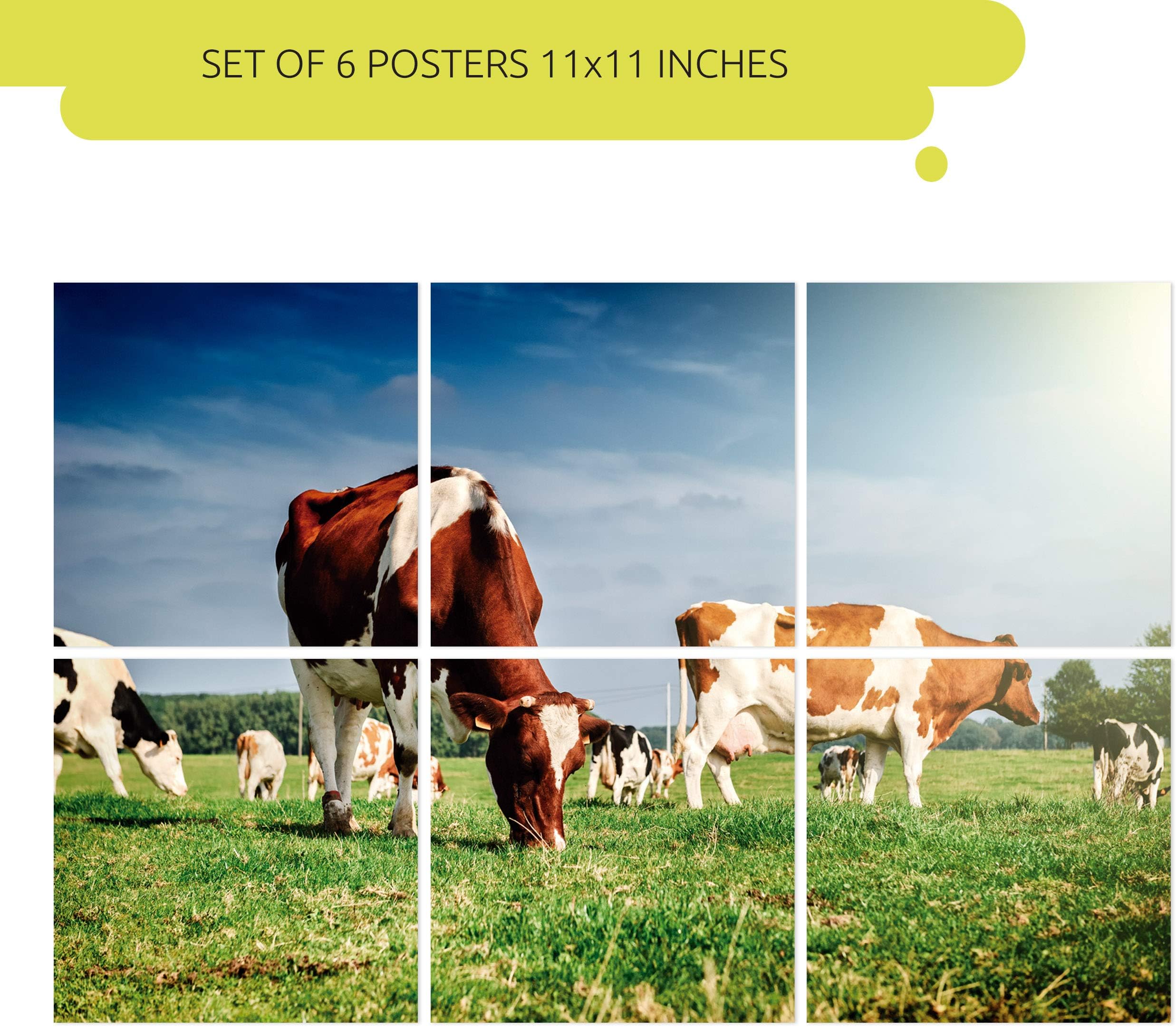 Wall Art Gifts for Cow Lovers | Set of 6 Canvas Posters | Unique 11x11" Farm Animal Themed Print Poster for Decor | Decorative Wall Pictures for Farmhouse | Ideal for Kitchen Living Room or Bedroom
