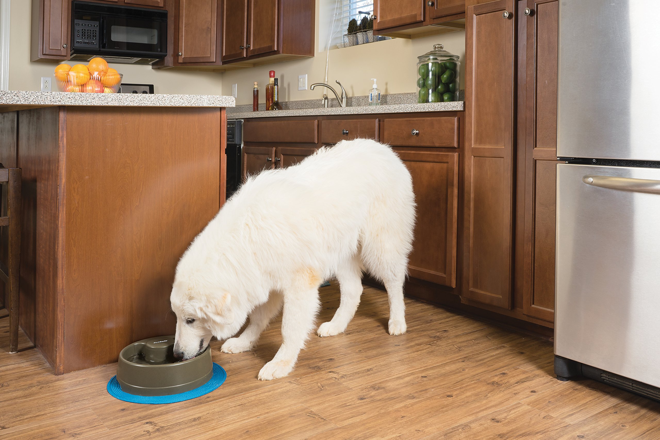 PetSafe Fuente para Perros y Gatos con Corriente, Agua Filtrada, Filtro para Olores, Apto para Lavavajillas, Sin BPA, L - Drinkwell