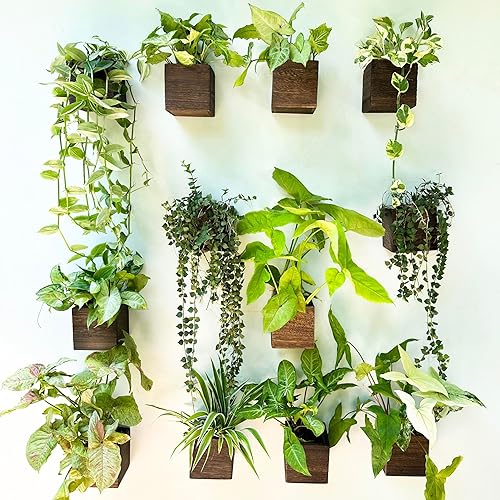 Miniatura 13 de LaLaGreen - Maceta de madera para plantas (paquete de 4) macetas de madera colgantes de pared para plantas de interior, jarrón para flores secas,