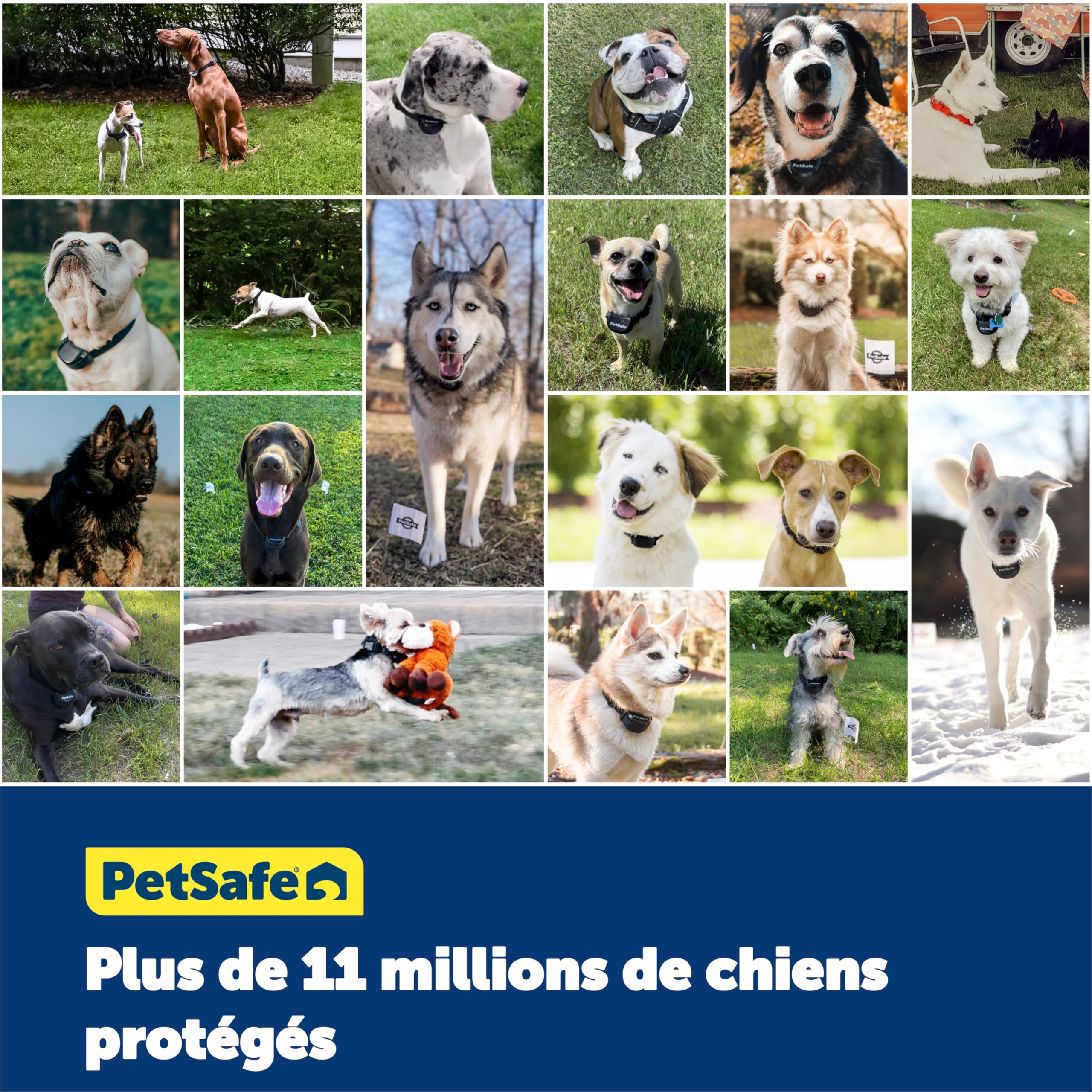 PetSafe PIG19-16413 - Cercado antifuga con hilo con collar recargable, fácil de instalar y resistente al agua