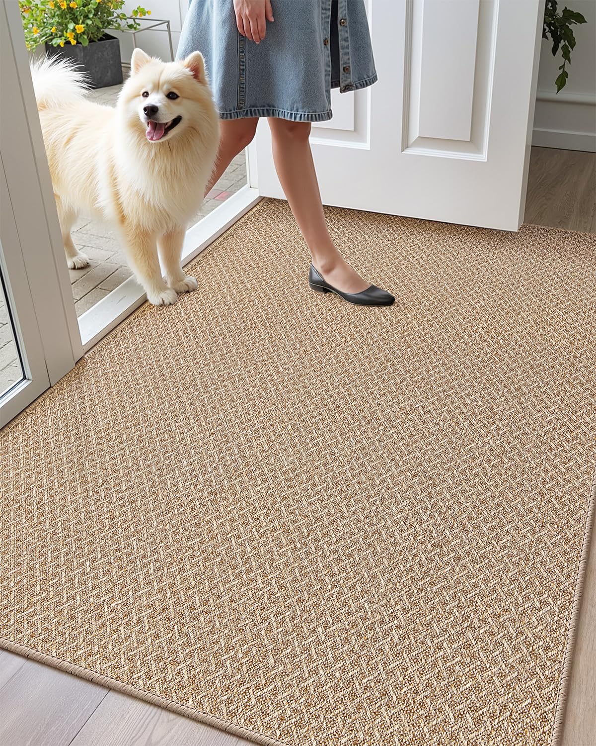 Color&Geometry Indoor Door Mat Non Slip Rubber Backed Dirt Trapper 32"x48"(Rolled-up NO Creases), Ultra Thin Rugs for Entryway, Front Door Mat Indoor Washable Low-Profile Entry Mat, Khaki