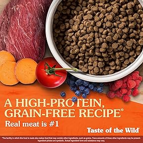 What food is Best for Huskies A Complete Guide 3 91zT9wqLM6L. AC SL289