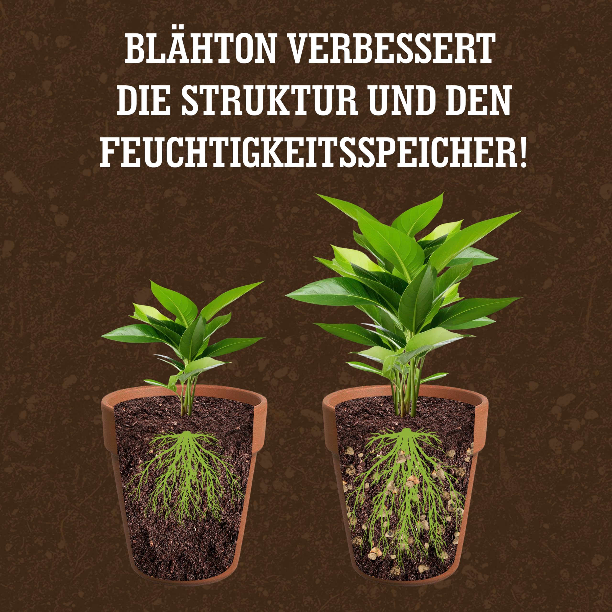 LERAVA Blhton Tongranulat fr Zimmerpflanzen & Hydrokultur