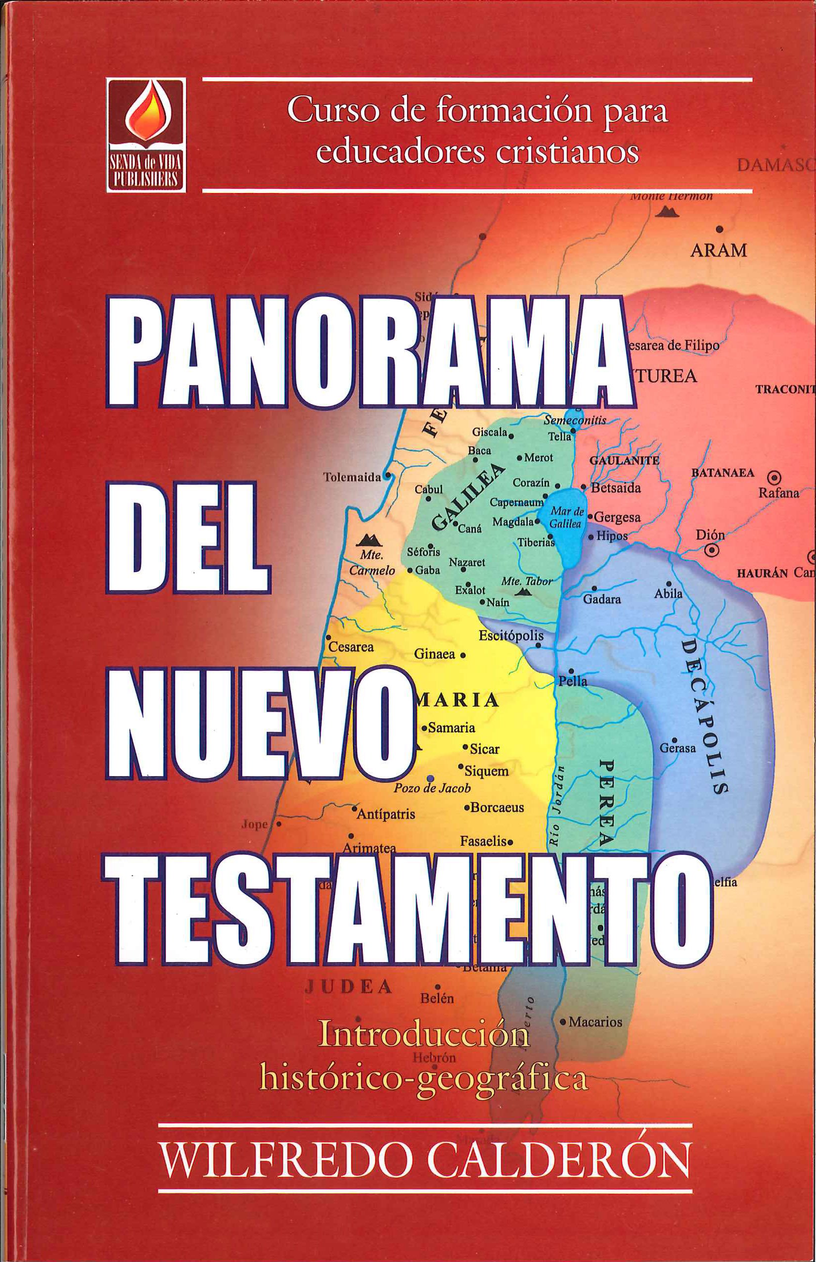 Panorama Del Nuevo Testamento (una introduccion historica-geografica) Paperback – January 1, 2004