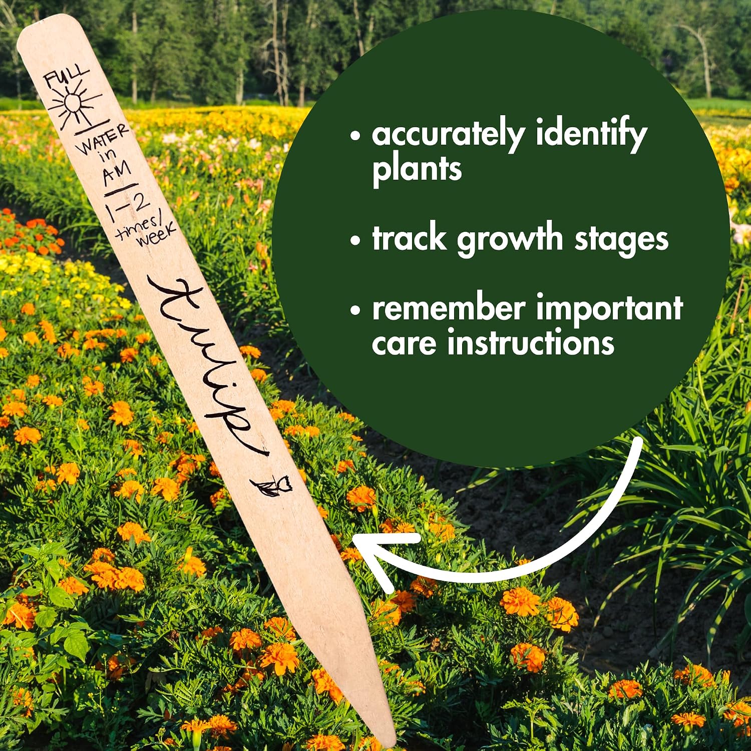 Plant Labels - 100% Natural Wood Garden Markers - 12 Inches Tall - for Indoor & Outdoor Use - Field and Garden Use - Eco-Friendly & Sustainable Plant Identification - Made in USA - (Pack of 25) (PINK) image 4