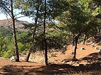 Vista 3 de Miel de brezo griego Ikaria (miel de Anama) Cruda, sin calentar, sin filtrar y sin pasteurizar, 8.82 oz