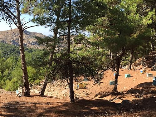 Miniatura 3 de Miel de brezo griego Ikaria (miel de Anama) Cruda, sin calentar, sin filtrar y sin pasteurizar, 8.82 oz