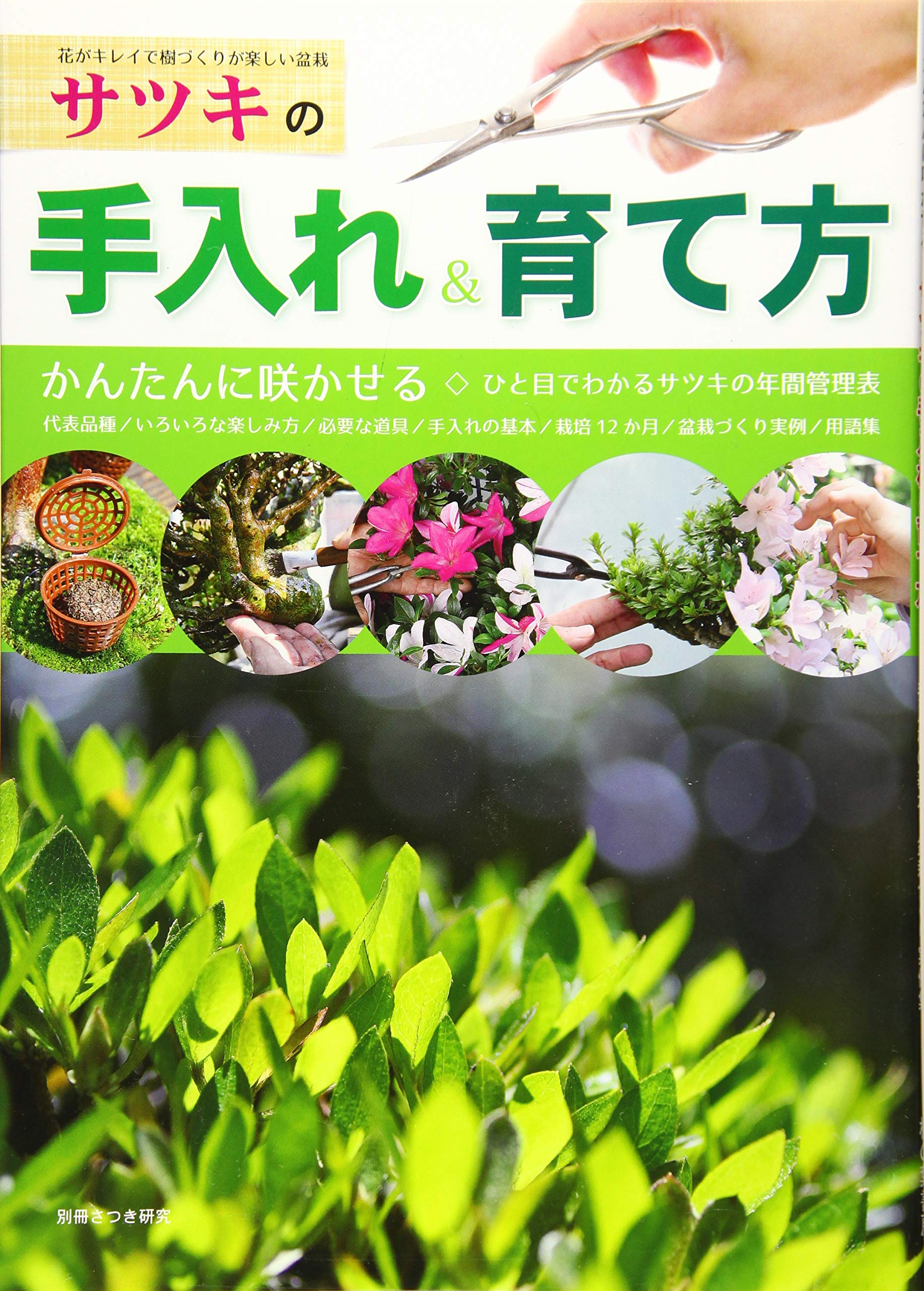 サツキの手入れ 育て方 別冊さつき研究 本 通販 Amazon