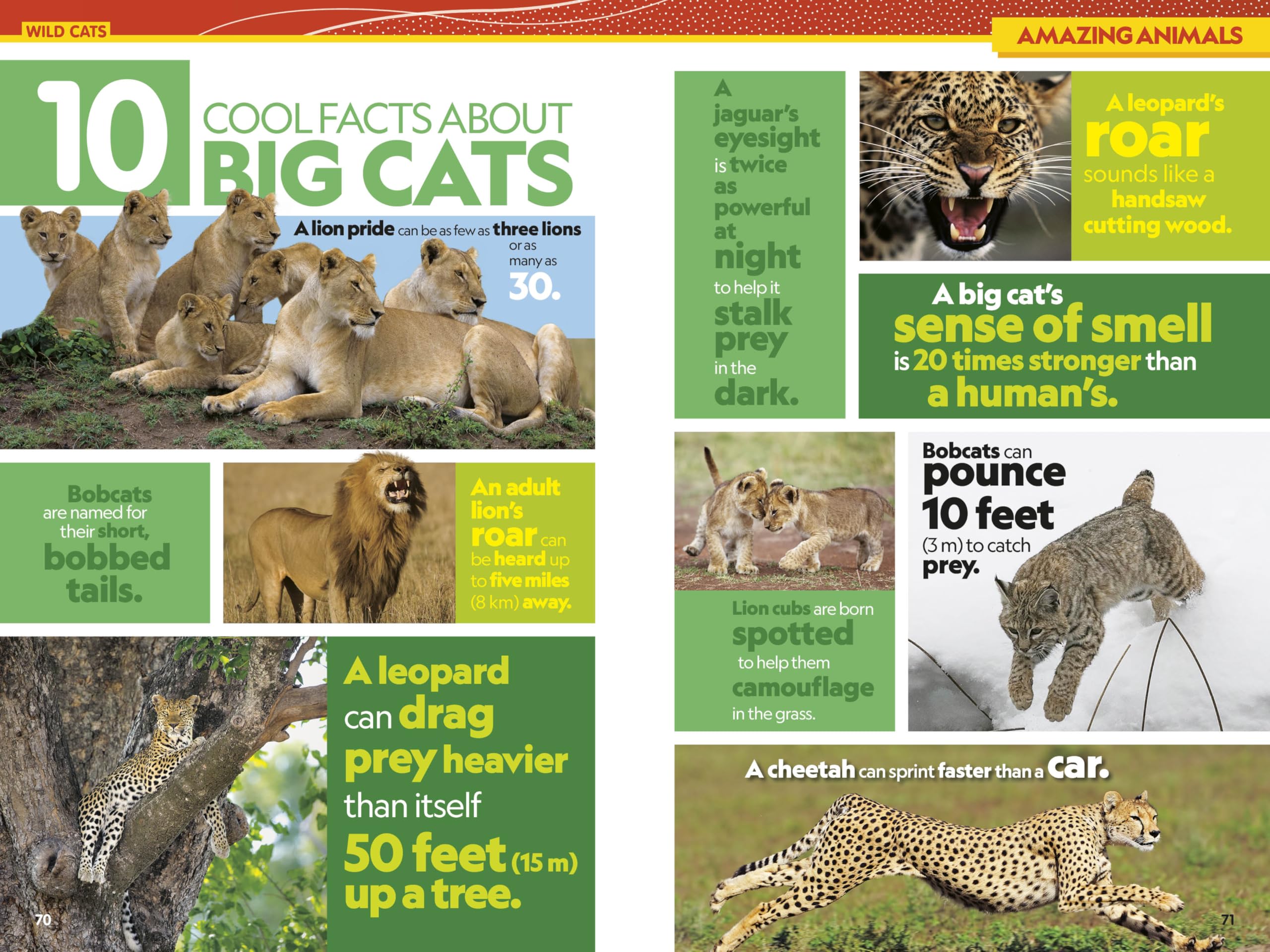 National Geographic Kids Almanac 2027 (NGK Almanac)
