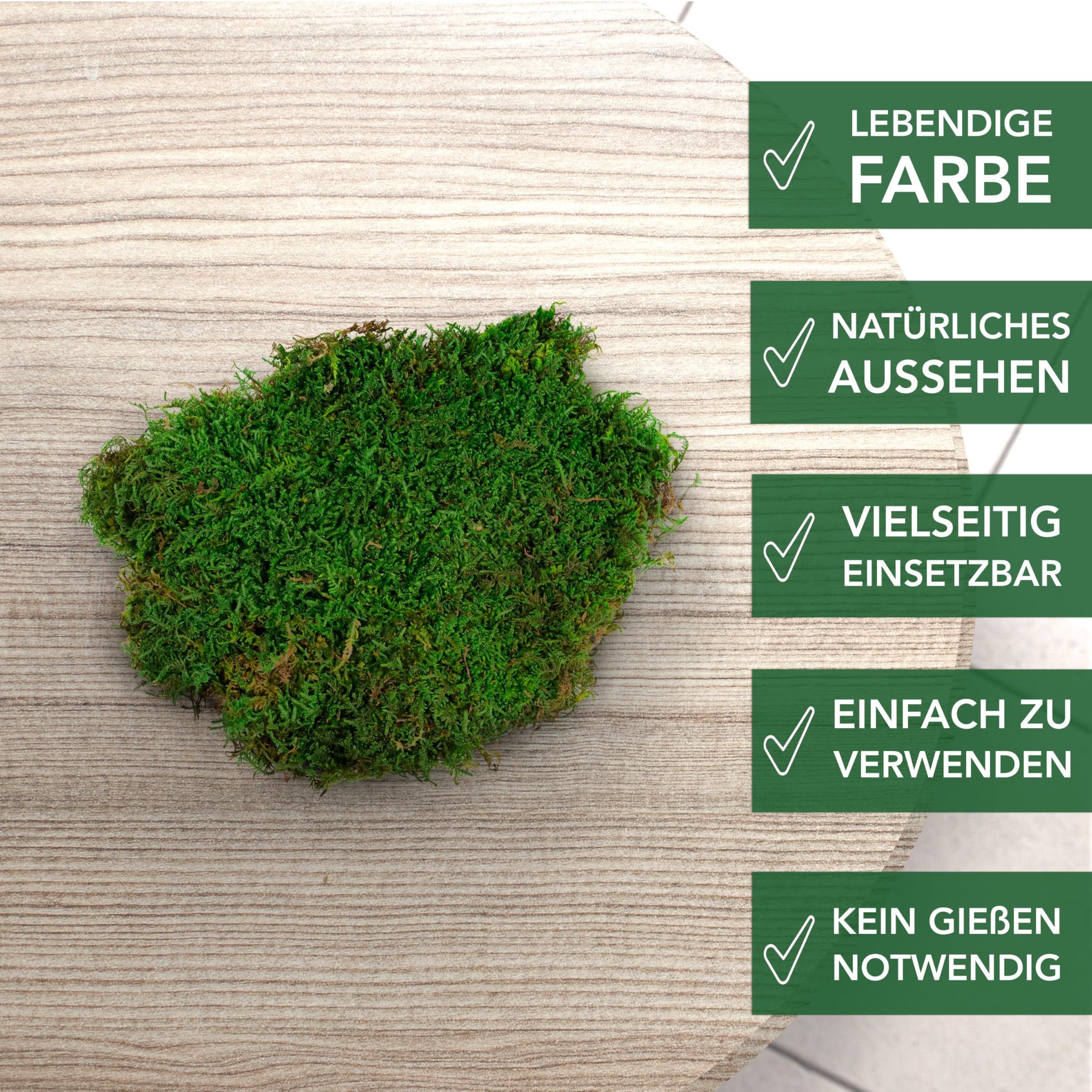 Sphagnum-Shop Plattenmoos konserviert Dekomoos Premium Qualität Grün 750g | Moos für Moosbilder, Moos Deko, DIY Moosmatten oder Moos zum basteln